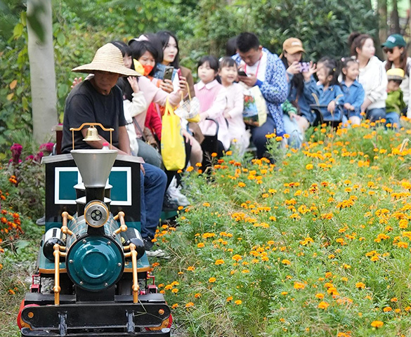 花海小火车
